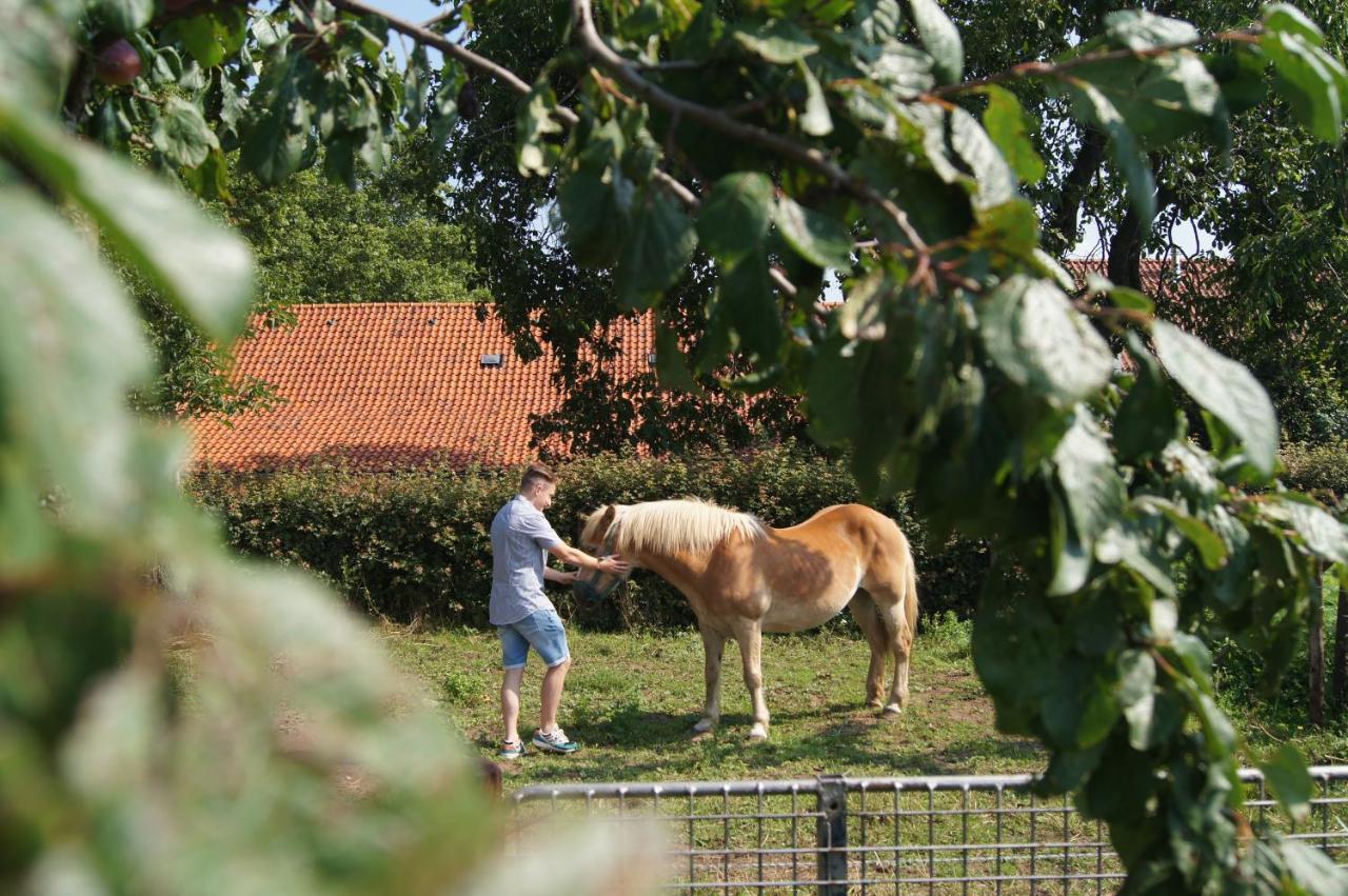 Hoeve Linnerveld Xl Sint Odilienberg Luaran gambar